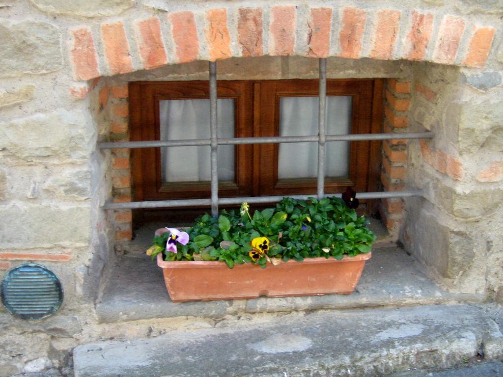 Apartament Casa Velia Uzzano Zewnętrze zdjęcie